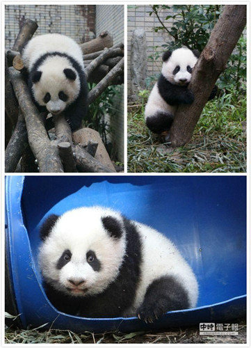 ��½��̨��è��������1�������ǩ�볡�����˳�