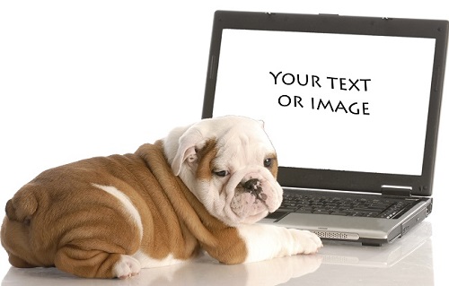 ���Ʋ�ȫ�����¹�����ϰ�������ϵø���