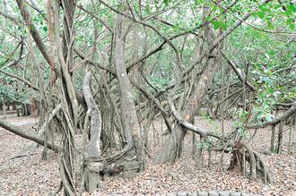 ̨�ϡ��������ˡ�ҹҹ�Ӹ�291�ô������꣨ͼ��