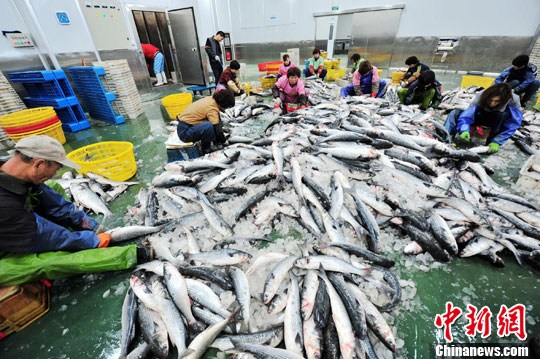 ̨������ҵ԰����������̨ũҵ����