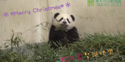 ��è��Բ�С����̲��������׺��ӱ���ʥ������