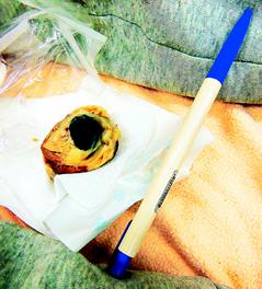 ̨��һ���ӳ���ͷ��ʥ�����������ҭ��