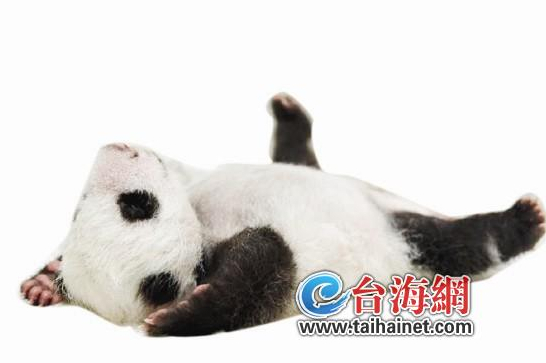 ���ܡ���Ѽ������2013��Щ��������̨�������