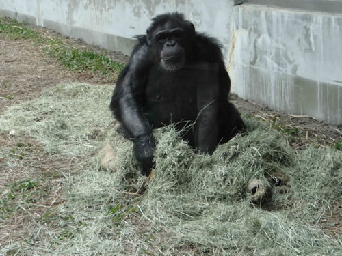 ̨�����쬶���԰����������ǲ�������ͼ��