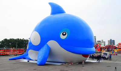 ̨�廨���ƻᾫ�������־����������ɽ��㣨ͼ��