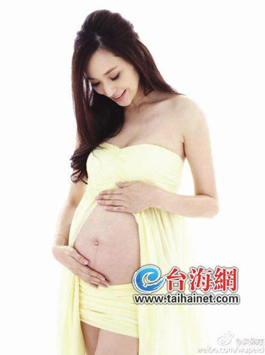 台湾女星扎堆生“马宝”2014娱乐圈热议母婴主题