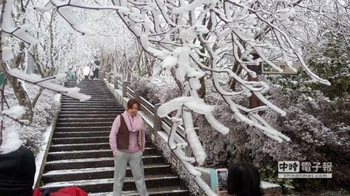 寒流抛珠玉满地台湾太平山北国风光旖旎(图)