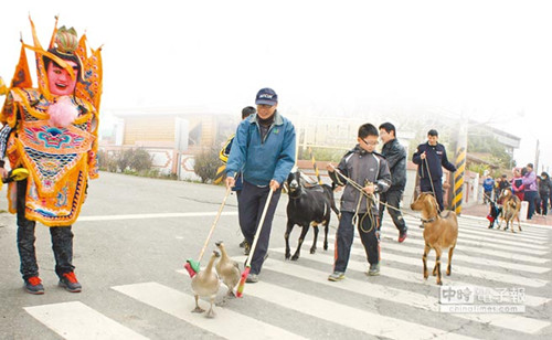 台湾迎来开学日“终极鸭班”来报到(图)