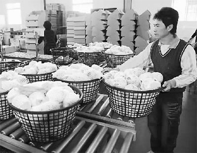 ͼ��̨�����ȳ�����