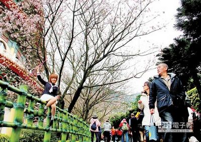 ����ӿ�±���Ԫ����ӣ���οͰ綯��������Χ��