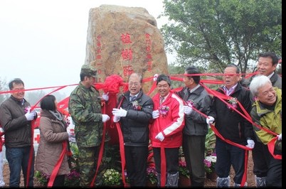 Ϊ��������̨����ž������������磨ͼ��