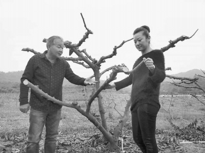 ̨��ũ�񴴰�ũ���͹�����Ů���С���