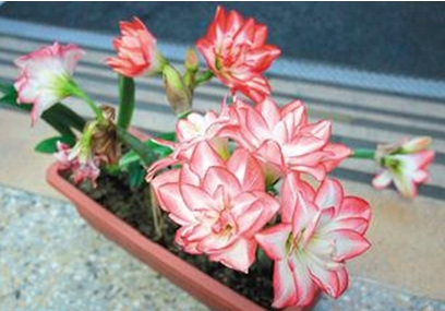 ���ӽ�������ͦ�������Ȼ����߾�Աץ��׷������