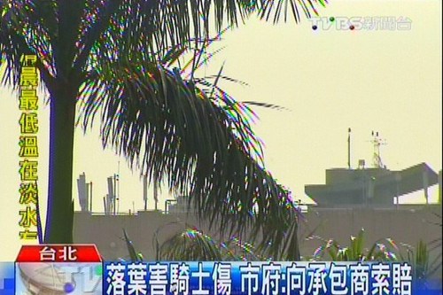 �����ﳵ��2.6����Ҭ����Ҷ��ͷˤ�����ۣ�ͼ��