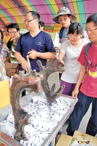 马英九错误解读鹿茸另类营销带来台湾鹿茸好生意