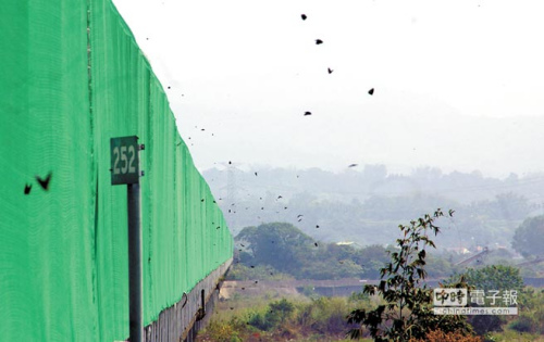 �����ϰߵ���Ǩ������������ӡ�׳�۾�����