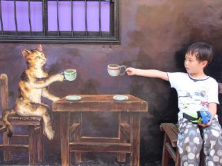 ̨�����ֻ�β���ݶ��ϵ�è����������ͼ��