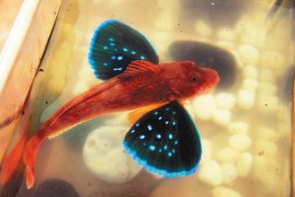 ��������ڽ��ú��������ˮ�к�������ͼ��