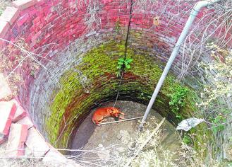 ���硰���ӡ�С�ƹ��ɱ����ĵؿݾ�������ͼ��