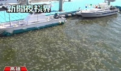 ˮĸ���������10�����θ����˴�ۣ�ͼ��