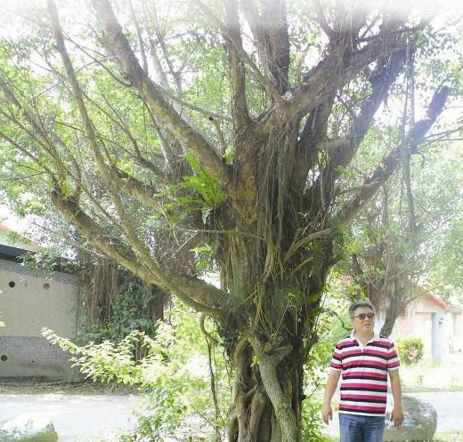 ̨�塰�������ˡ�1.5�ھ�����������ͷ�ǻ��ˡ�