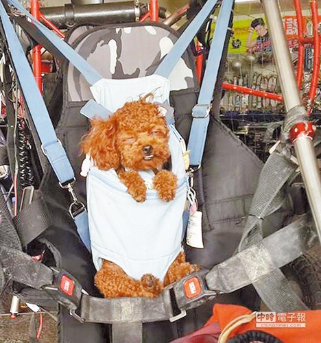 ���Ӽݷ���ɡ�����ҷ����س��ﹷ����������ͼ��