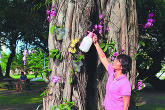 ������������̨�ϰ������������ᣨͼ��