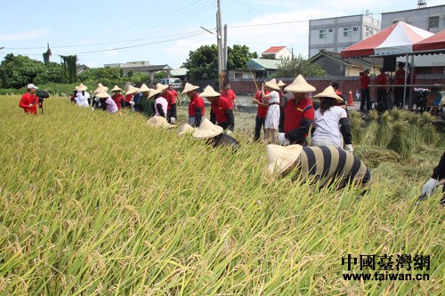 ̨�������ǽ���������½ȫ�ұ�����