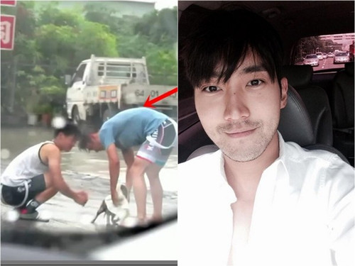 崔始源台湾拍戏 见路边小狗淋雨下车帮擦干(图)