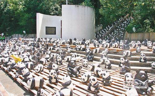 1600ֻֽ��è����Ͷչ�������������ڹ��ͣ�ͼ��