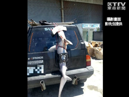 ���ճ���̥����1.5��˫���辪��·�ˣ�ͼ��