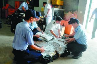 ��½���д��㹽˿���Ų��600���ͼ��