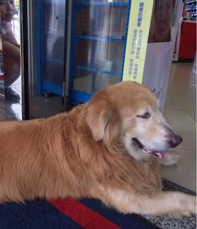 ��·��ëȮ�̵괵�������ѽ���9Сʱ�ҵ����ˣ�ͼ��