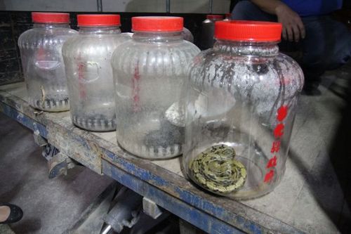 �������д������������Ƕ����磨ͼ��