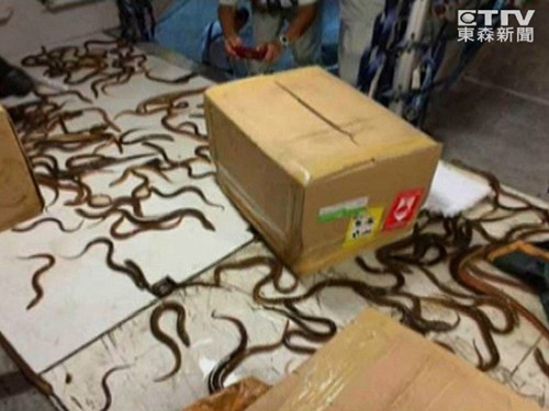 ��԰��������ֽ�������������������أ�ͼ��