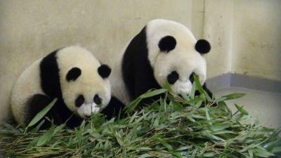 ̨����ҵ�֣���Բ�С���Ȩ��Ʒ���ܱ�Ч��5��̨��