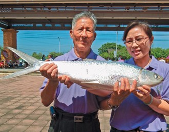 ̨�塰ʭ����������10��8������ʭĿ����