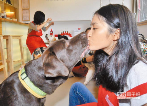 和狗玩亲亲女子被爱犬咬掉嘴唇肉