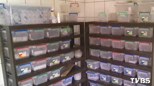 ���ӹ�Ԣ¥�ݼ���40�������ھӡ���ɵ����ͼ��