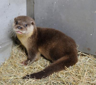 ̨������԰ˮ̡������������æ������ͼ��