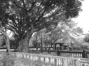 台湾新北板桥林的花园王国