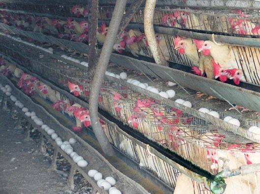 �û���ѡ�˻�ʮ����ǰˮƽ�����ֹ������治��