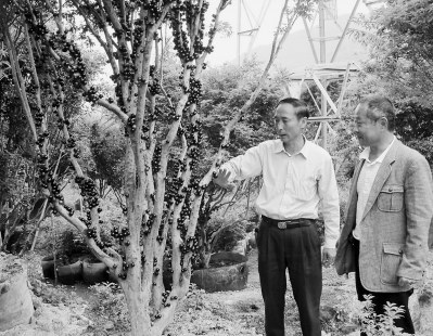 �׼���̨�ϻ�ũ��̽��·��ҡǮ������γ��ɴ��ҵ