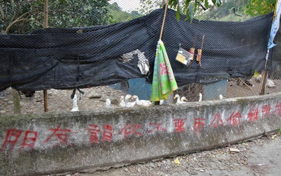 ��ũ��͵ʮ�������֡��㲥��С͵����͵��ͼ��