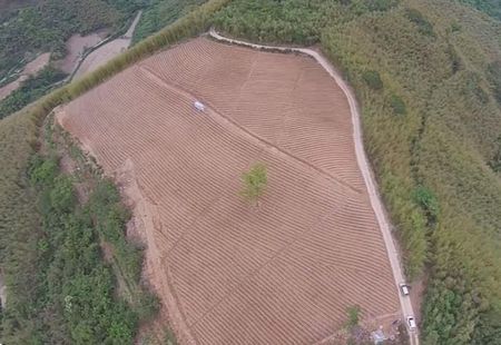 �Ͻ��۸����10��̨��ɽͷ�䡰���ͷ����ͼ��