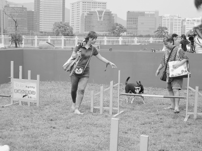 ̨������г�������������˶���԰���м񡰻ƽ�