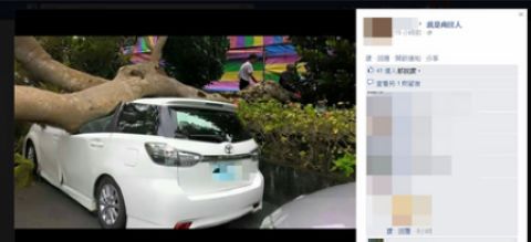 ���ͻ�ϲ���簮�������ѹ������ֱ�����òҡ�