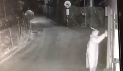 Ella��Ҷ�α����᲻֪�ι����꣨ͼ��