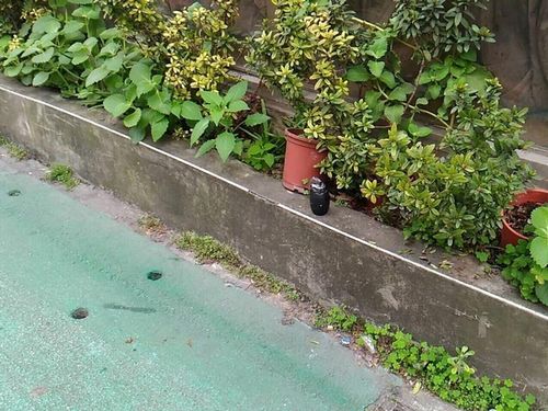 ̨������Ū�����������񵯾����䱸��ͼ��