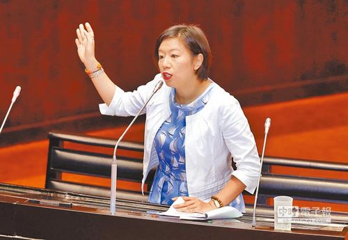 "立委"林静仪在20日"立法院"质询.